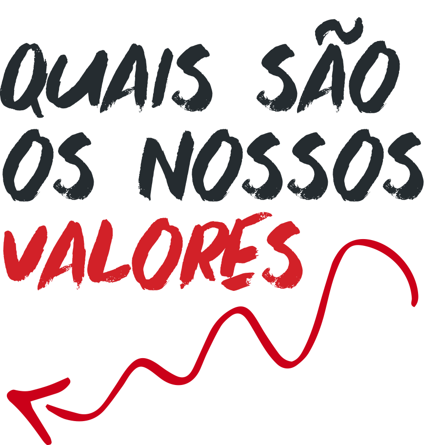 Quais sao os nossos valores 2x